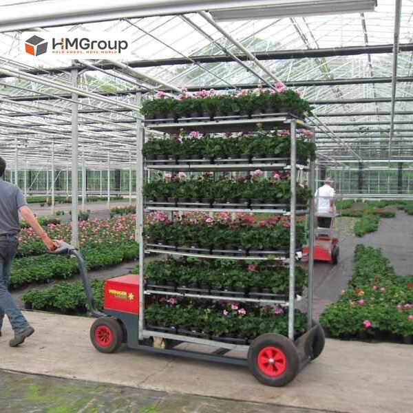Adjustable Plant Trolley price