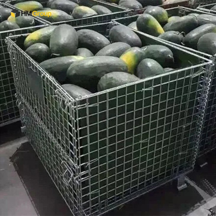 Galvanized Steel Cage