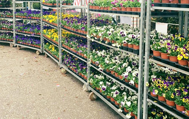 product-650-410 product-650-410